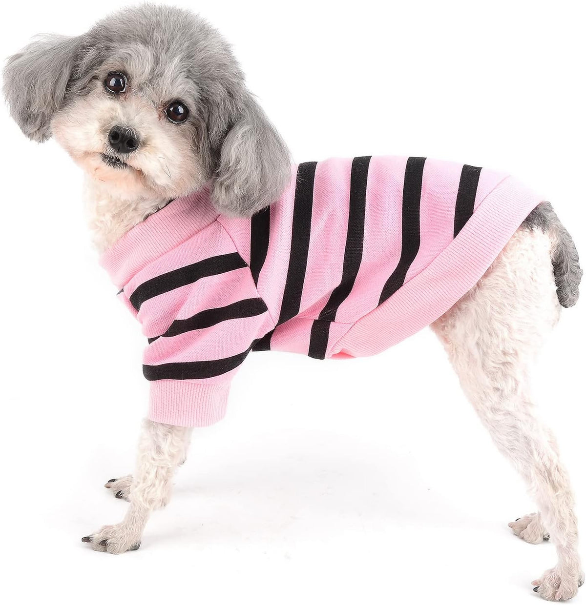 Zunea Lightweight Shirts for Small Dogs