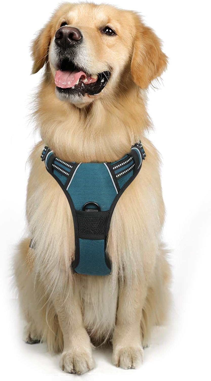 rabbitgoo Padded Dog Harness with Two Lead Clips
