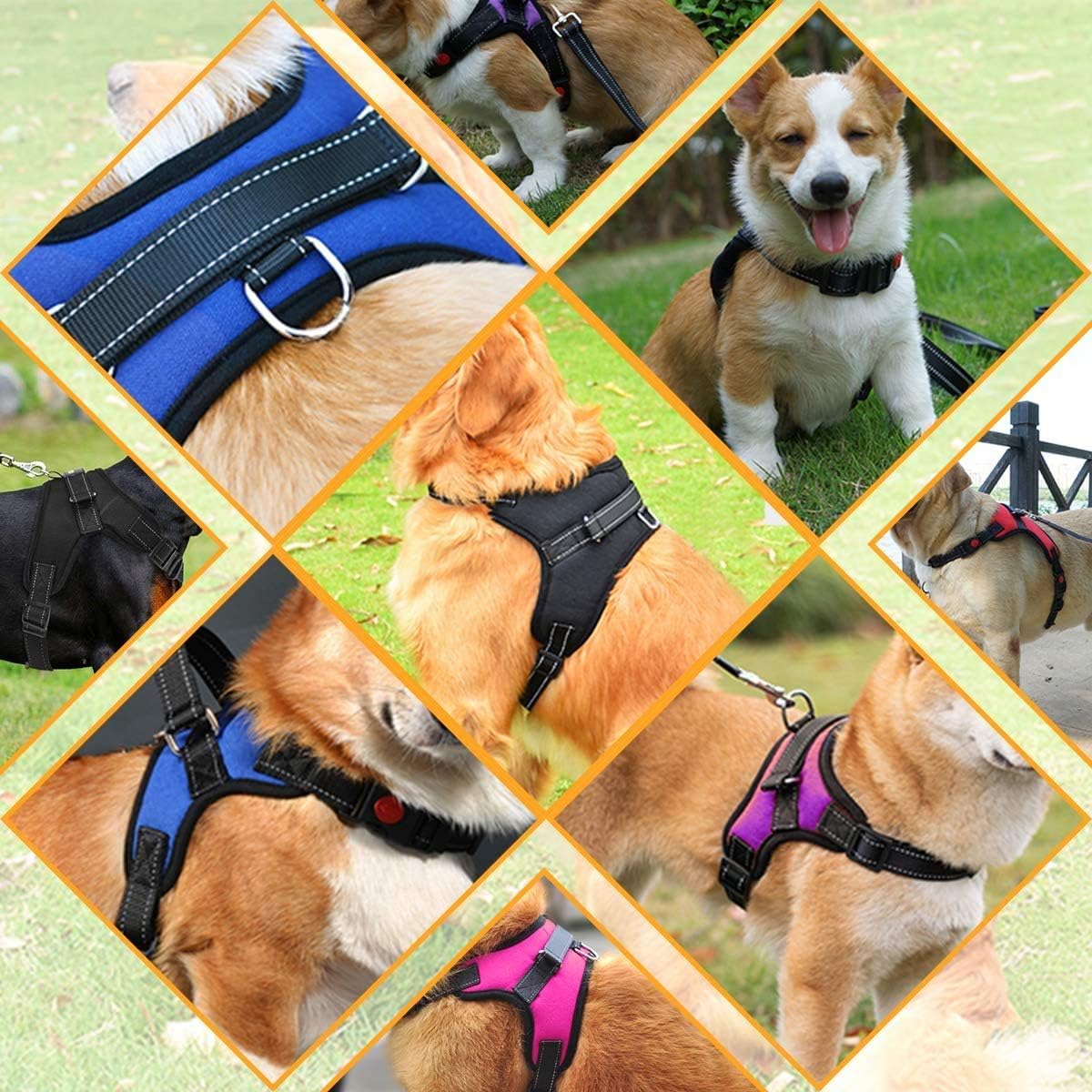 Musonic Adjustable Padded Dog Harness