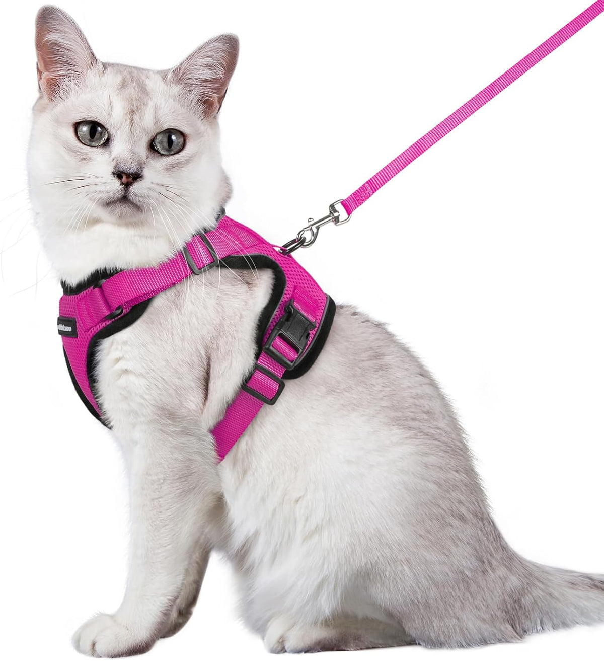 rabbitgoo Adjustable Cat Harness and Lead Set