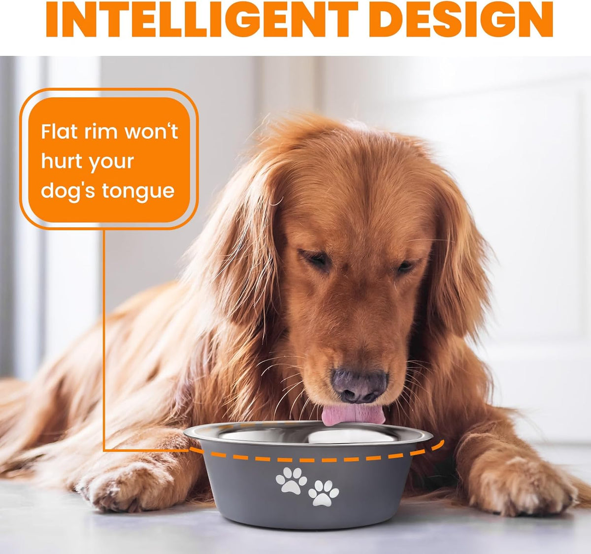 PETTOM Stainless-Steel Dog Bowls, Pack of 2