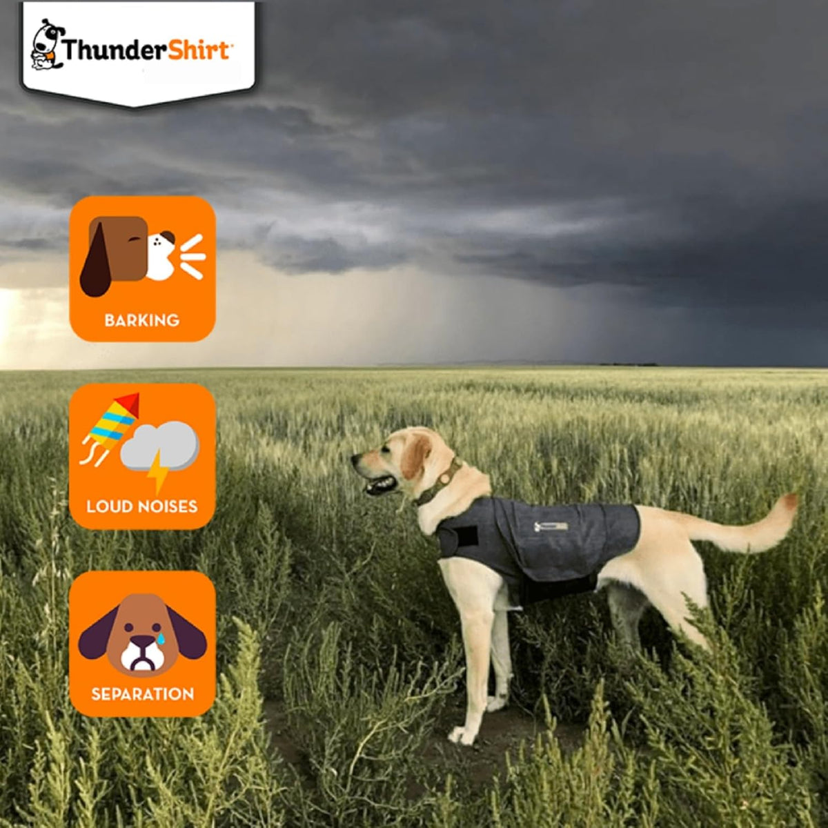 ThunderShirt Pressure Wrap for Dogs