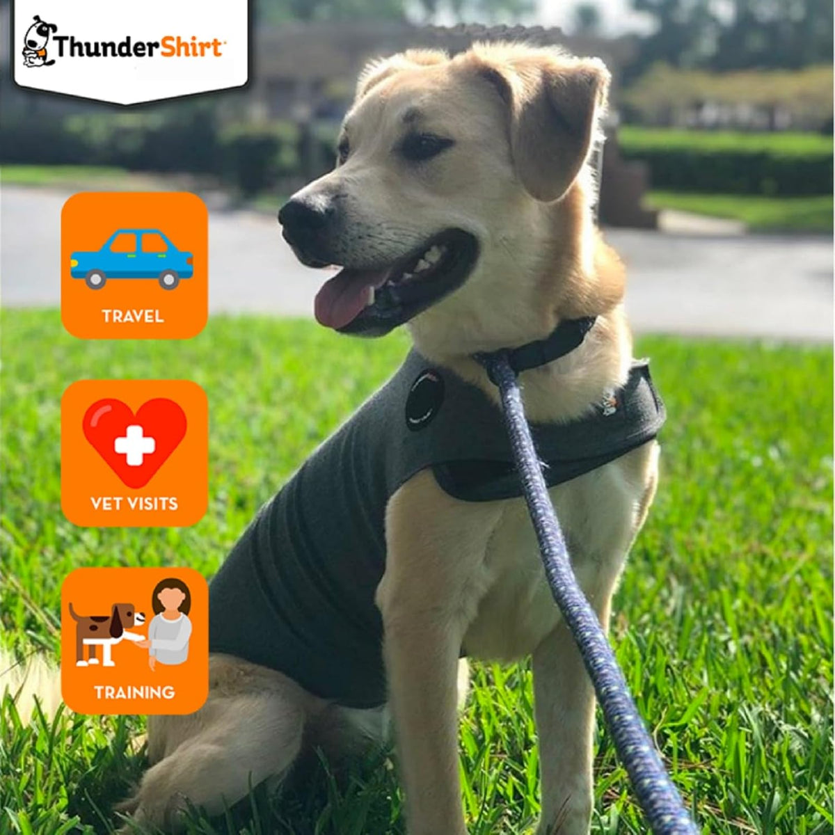 ThunderShirt Pressure Wrap for Dogs