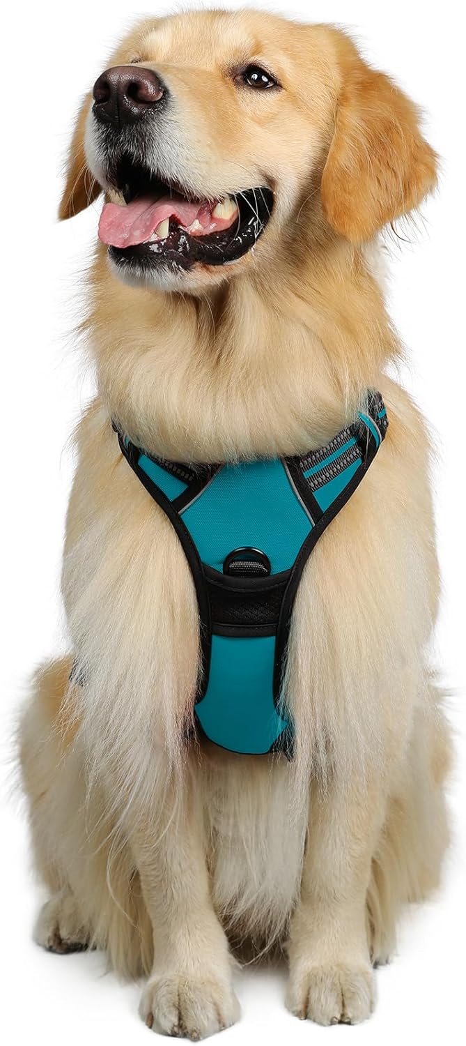 rabbitgoo Padded Dog Harness with Two Lead Clips