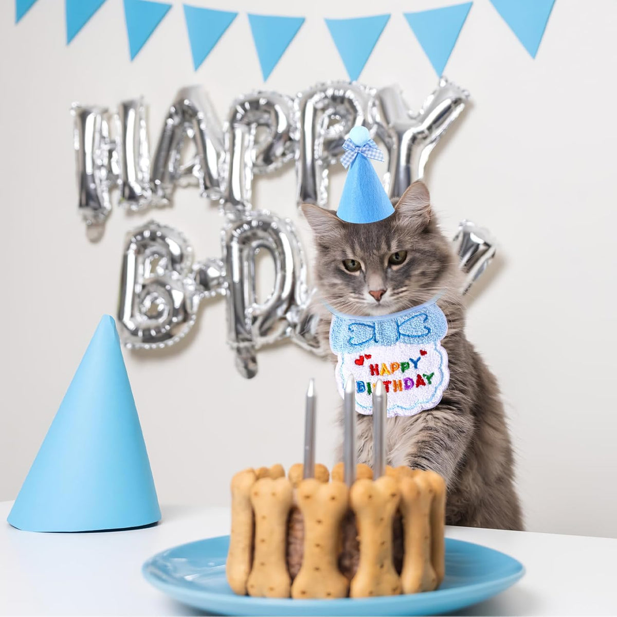 Pet Birthday Hat and Bandana Set