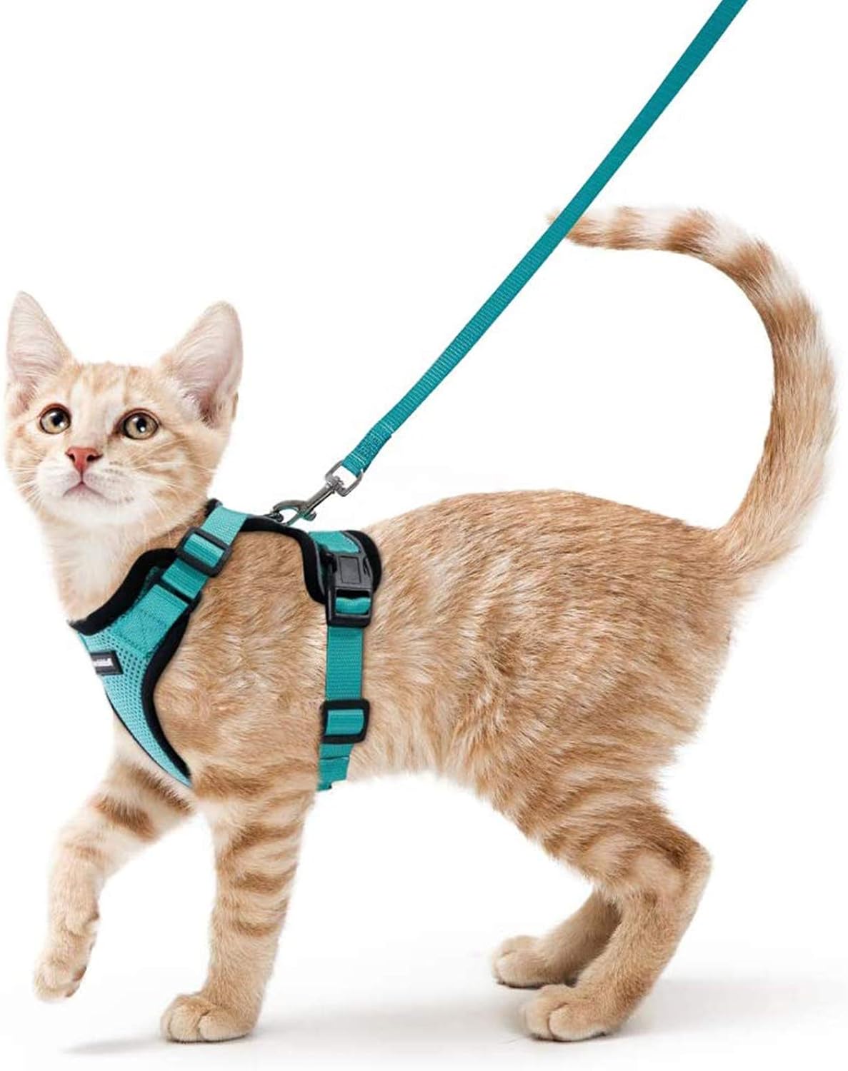 rabbitgoo Adjustable Cat Harness and Lead Set