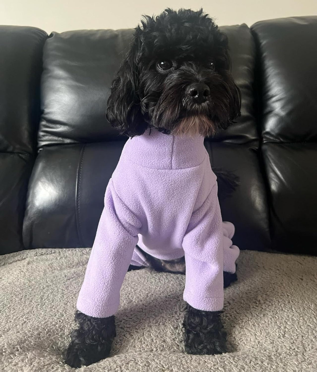 Four-Legged Fleece Dog Suit