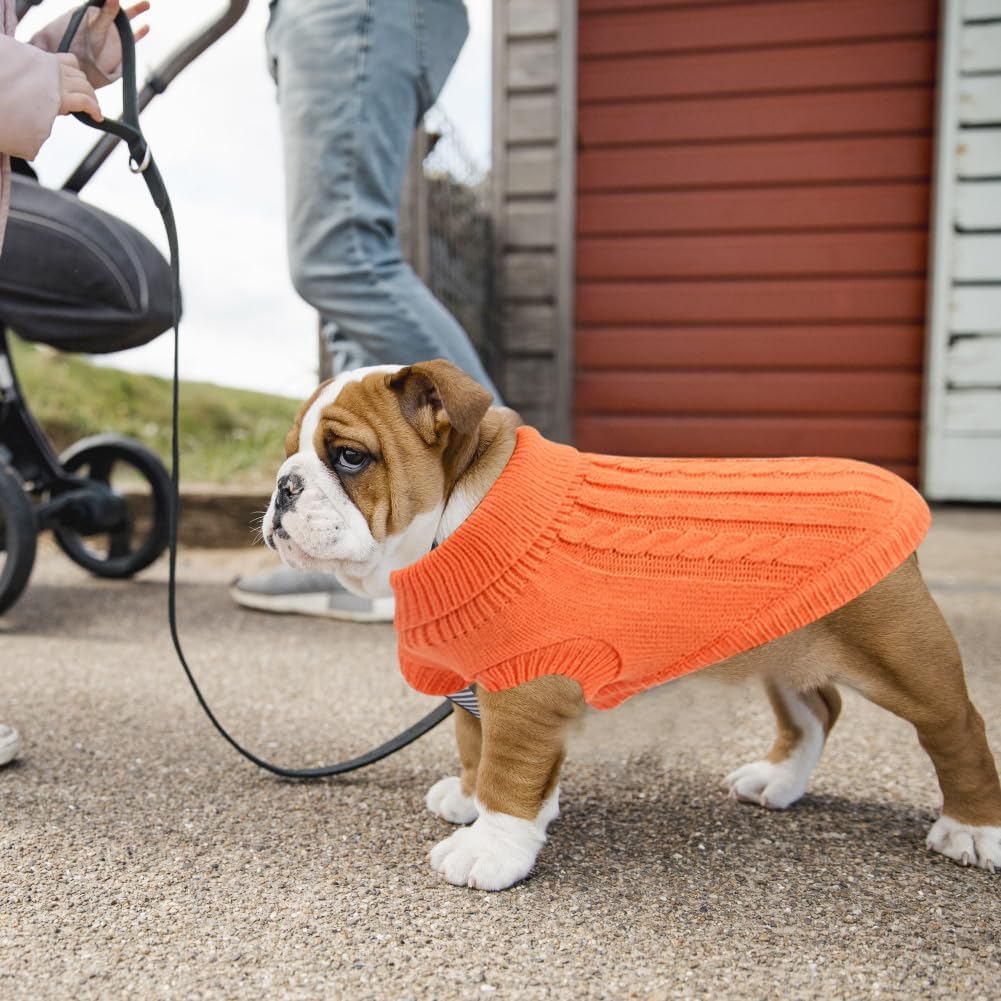Knitted Jumper for Small Dogs