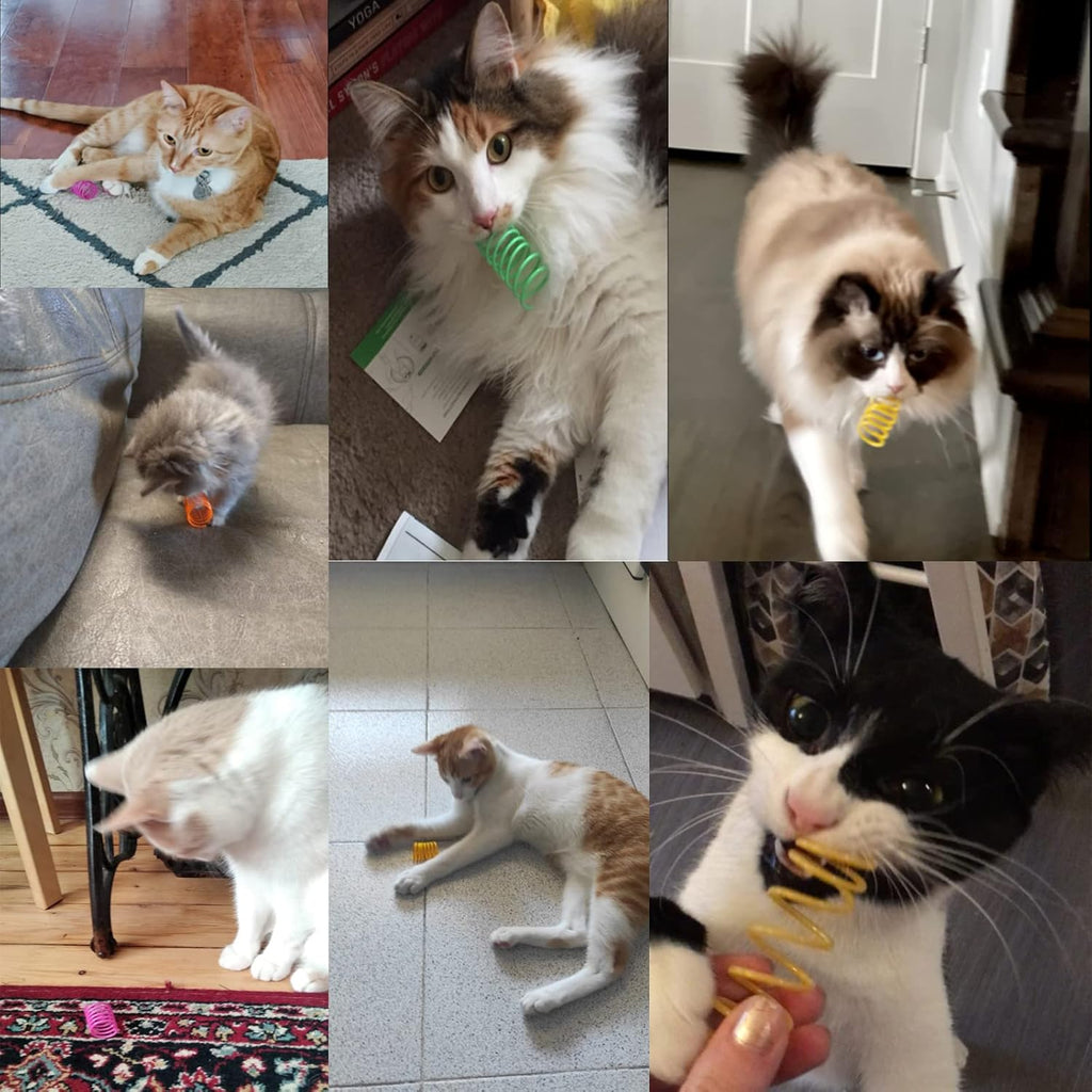 Petnice Cat Spring Toys, Pack of 12