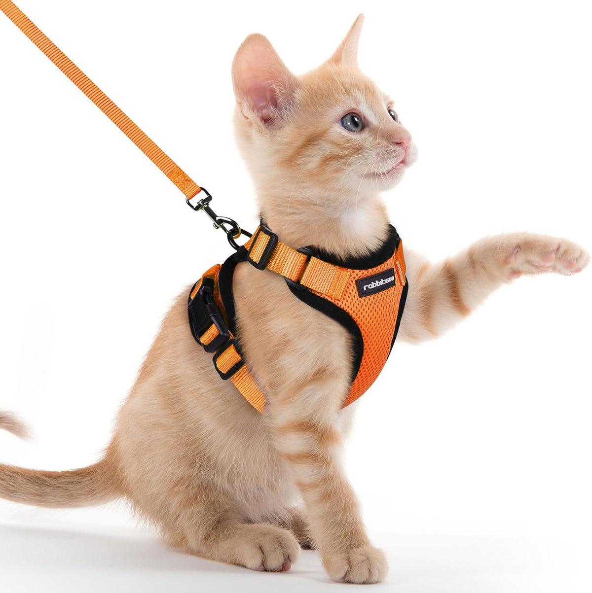 rabbitgoo Adjustable Cat Harness and Lead Set