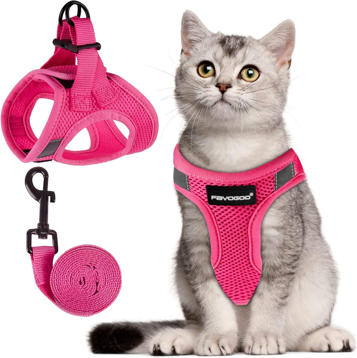FAYOGOO Mesh Cat Harness and Lead Set