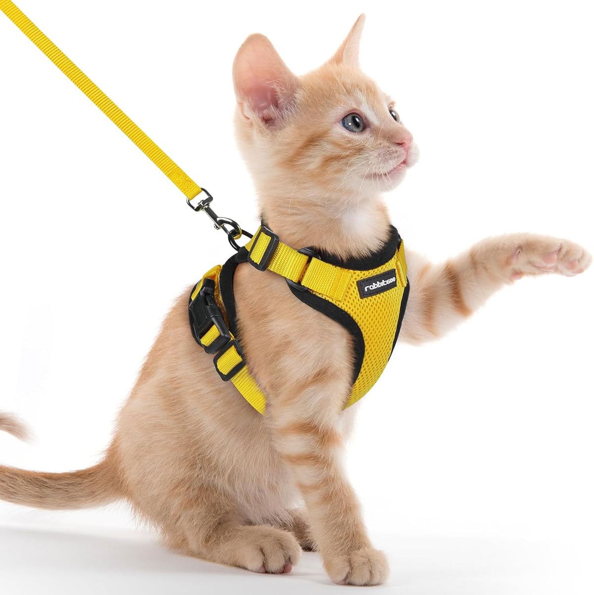 rabbitgoo Adjustable Cat Harness and Lead Set