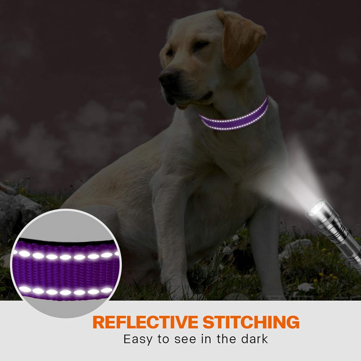 Taglory Reflective Nylon Dog Collar