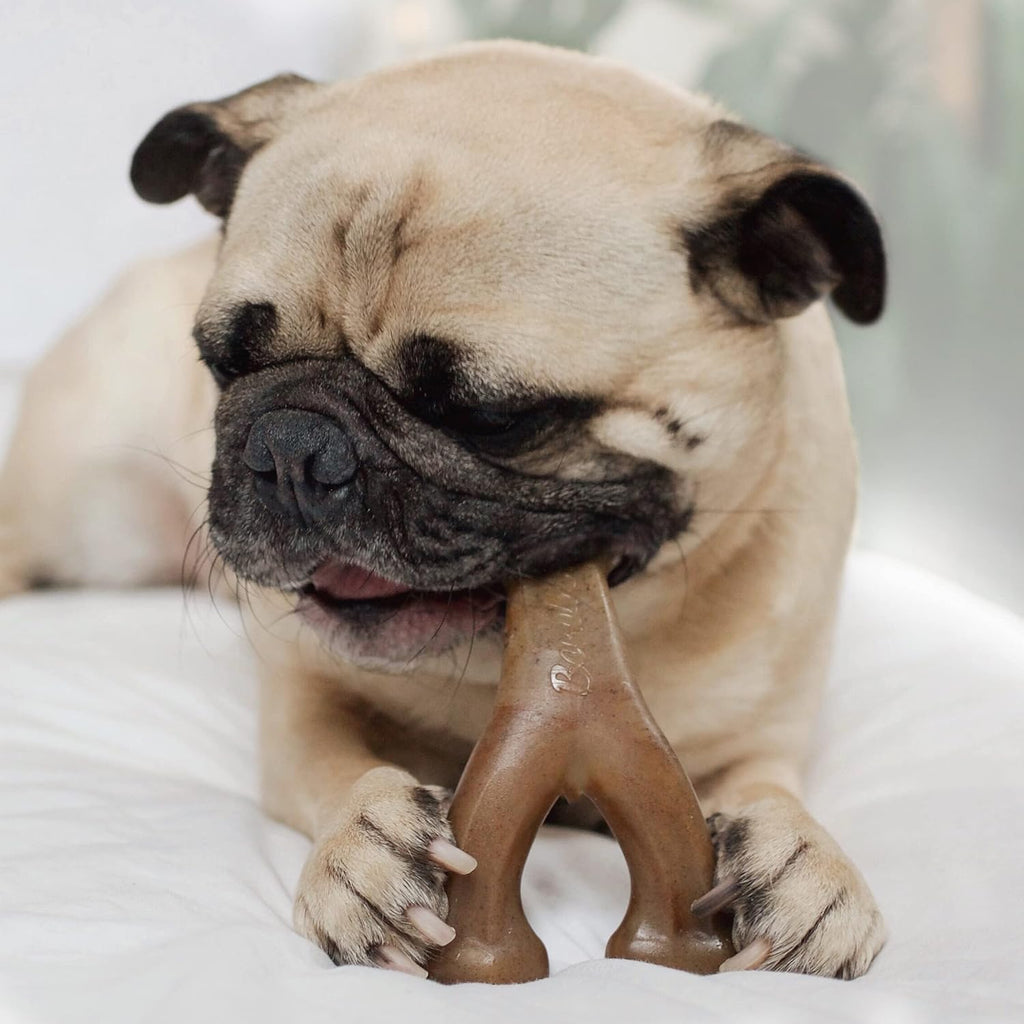 Benebone Dog Chew Toy Multipacks