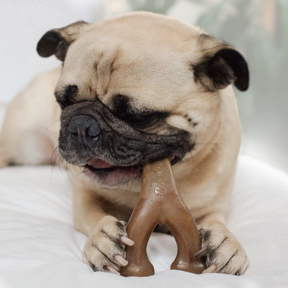Benebone Dog Chew Toy Multipacks