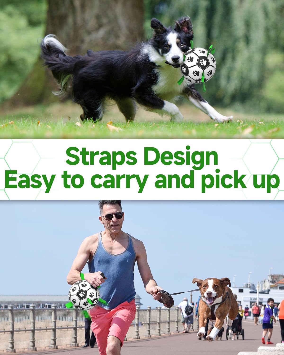 HETOO Dog Football with Grab Tabs