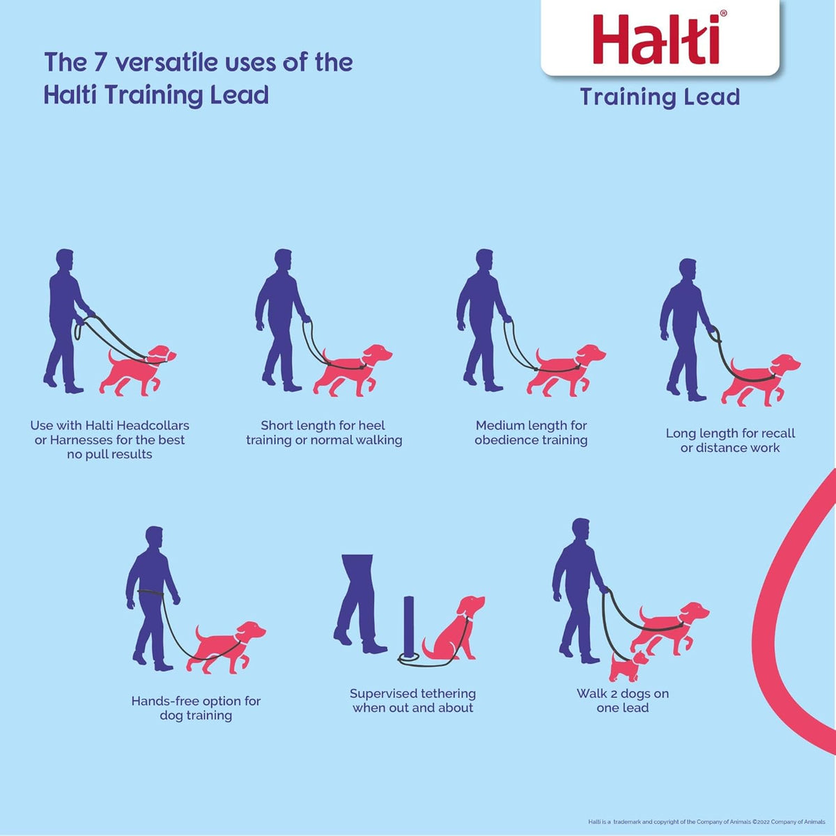 HALTI Double-Ended Training Lead
