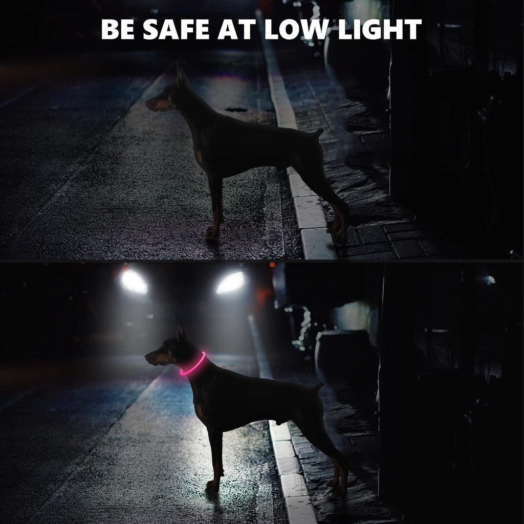 SerDa-Run Light-Up Dog Collar