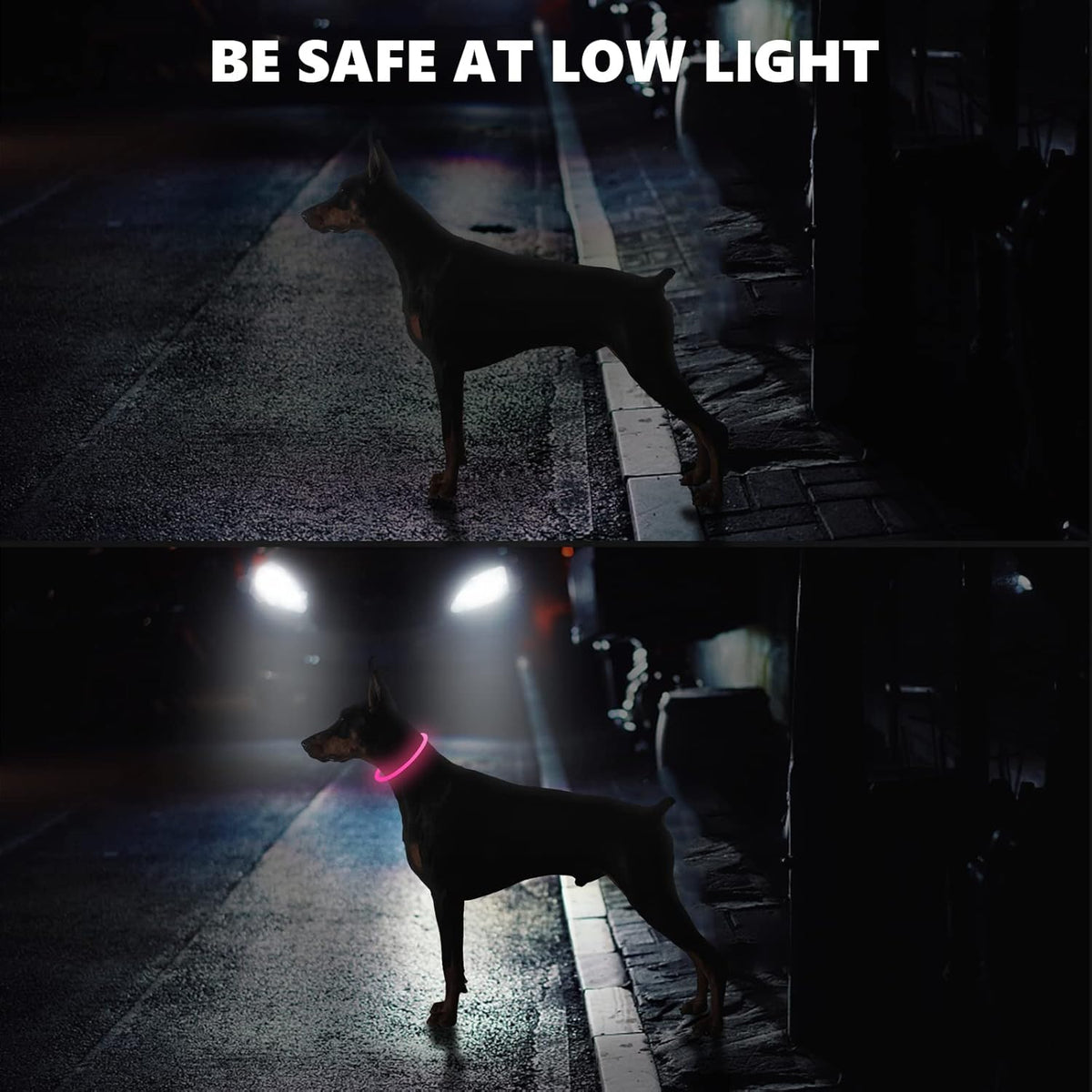 SerDa-Run Light-Up Dog Collar