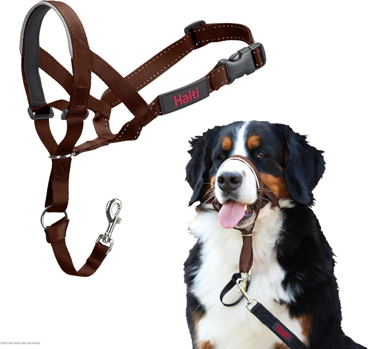 HALTI Adjustable Dog Headcollar