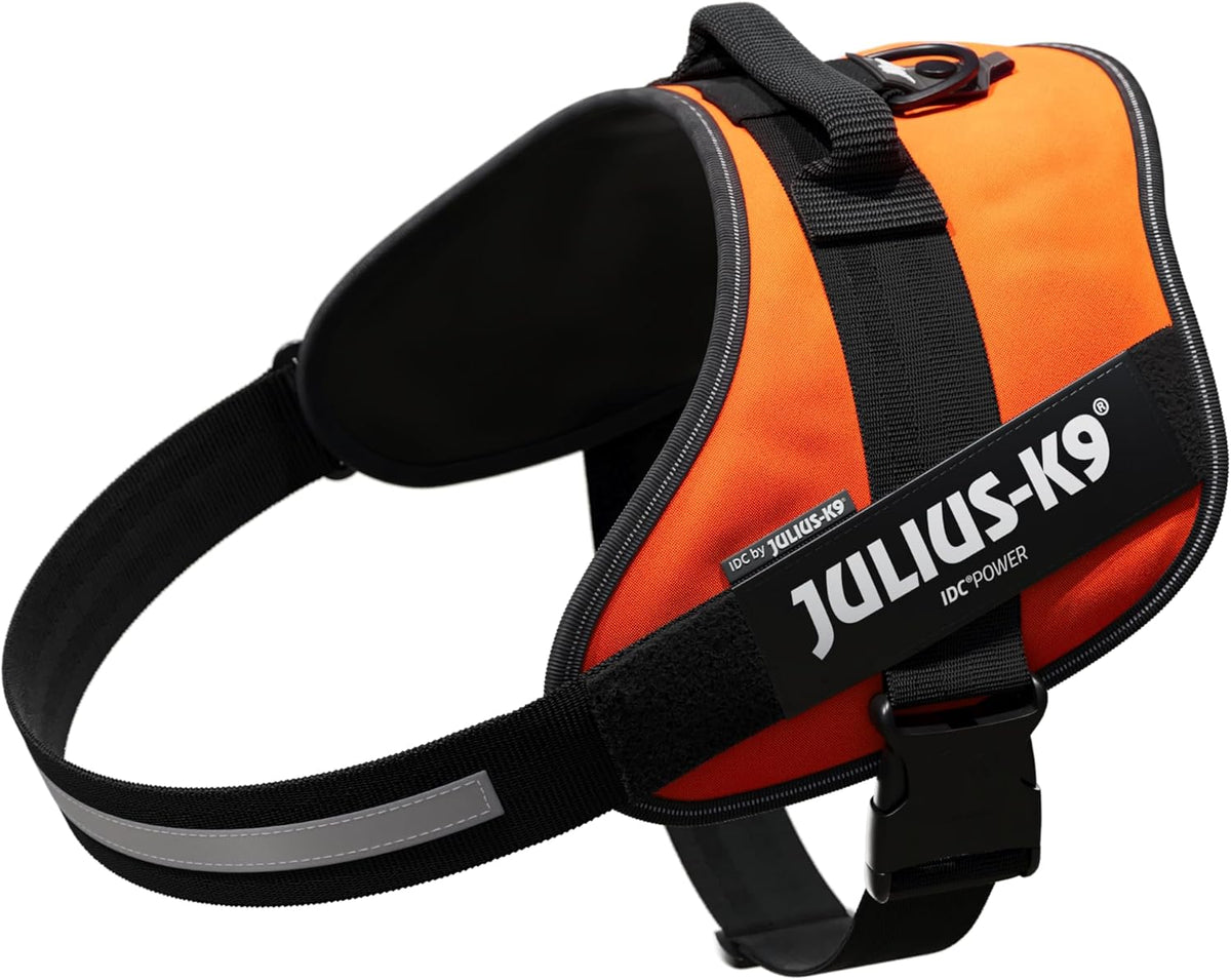 Julius-K9 IDC Powerharness for Small Dogs