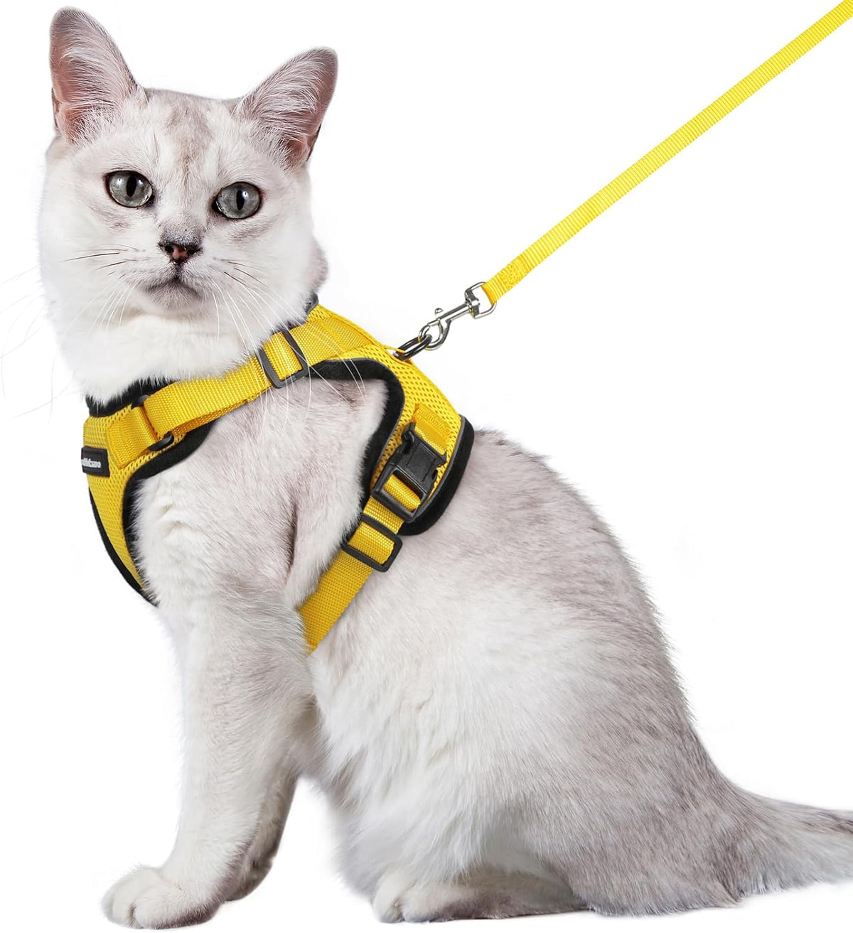 rabbitgoo Adjustable Cat Harness and Lead Set
