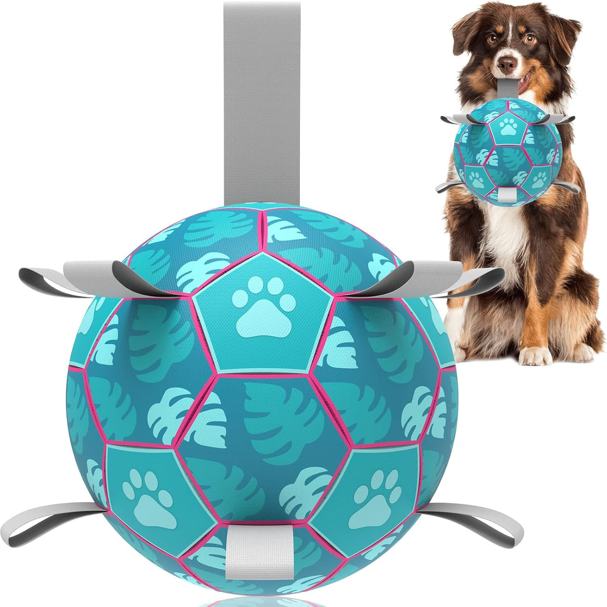 HETOO Dog Football with Grab Tabs