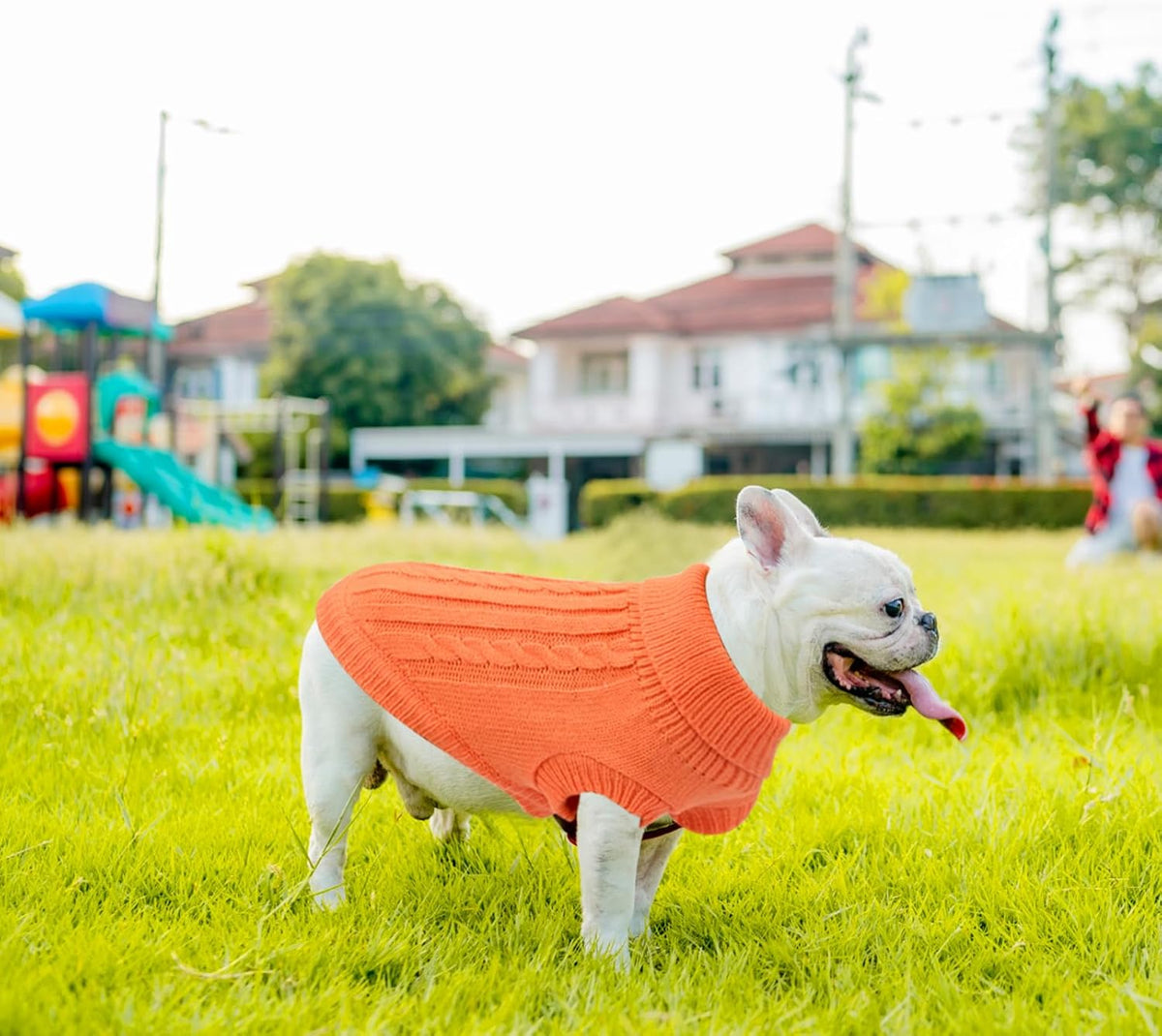 Knitted Jumper for Small Dogs