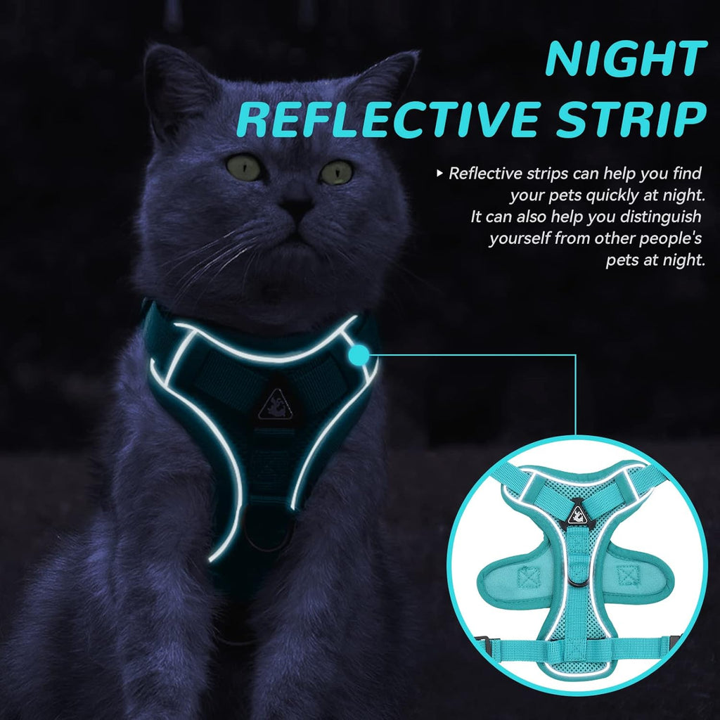 Adjustable Mesh Cat Harness and Lead Set