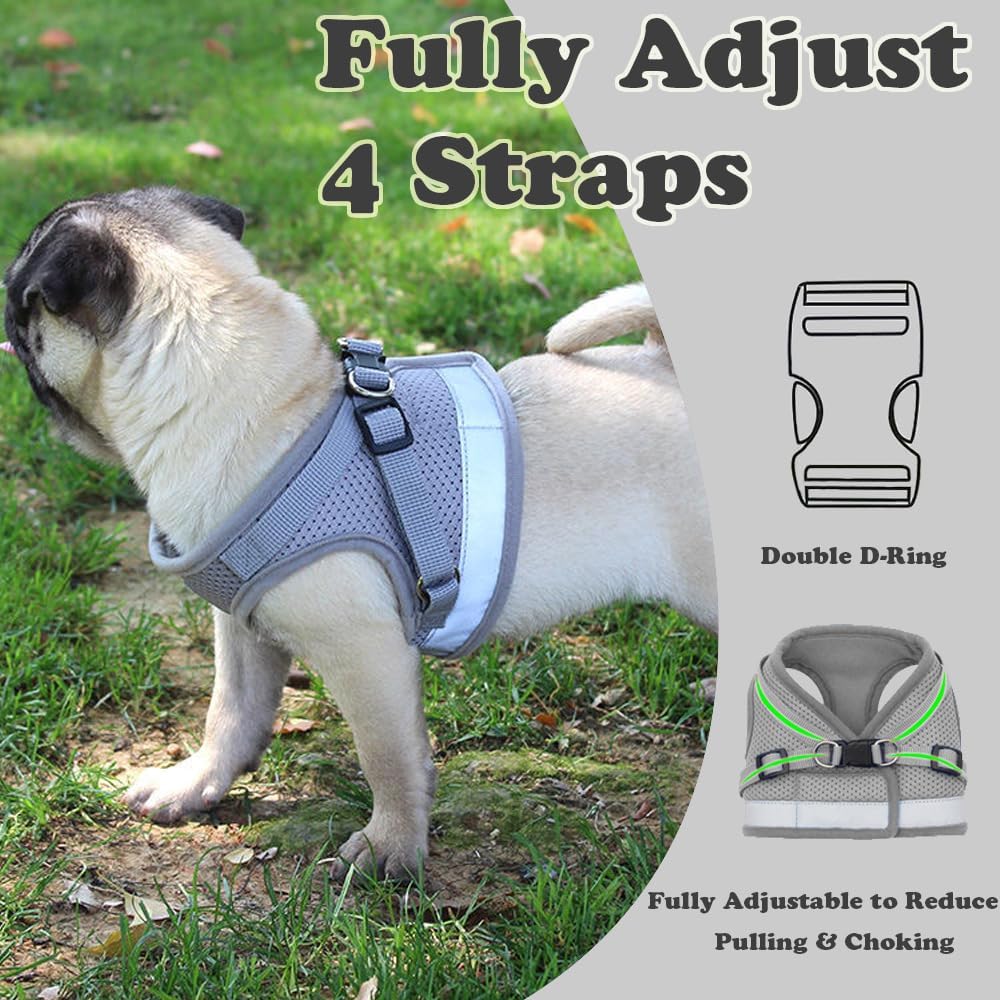 Anlitent Mesh Pet Harness and Lead Set