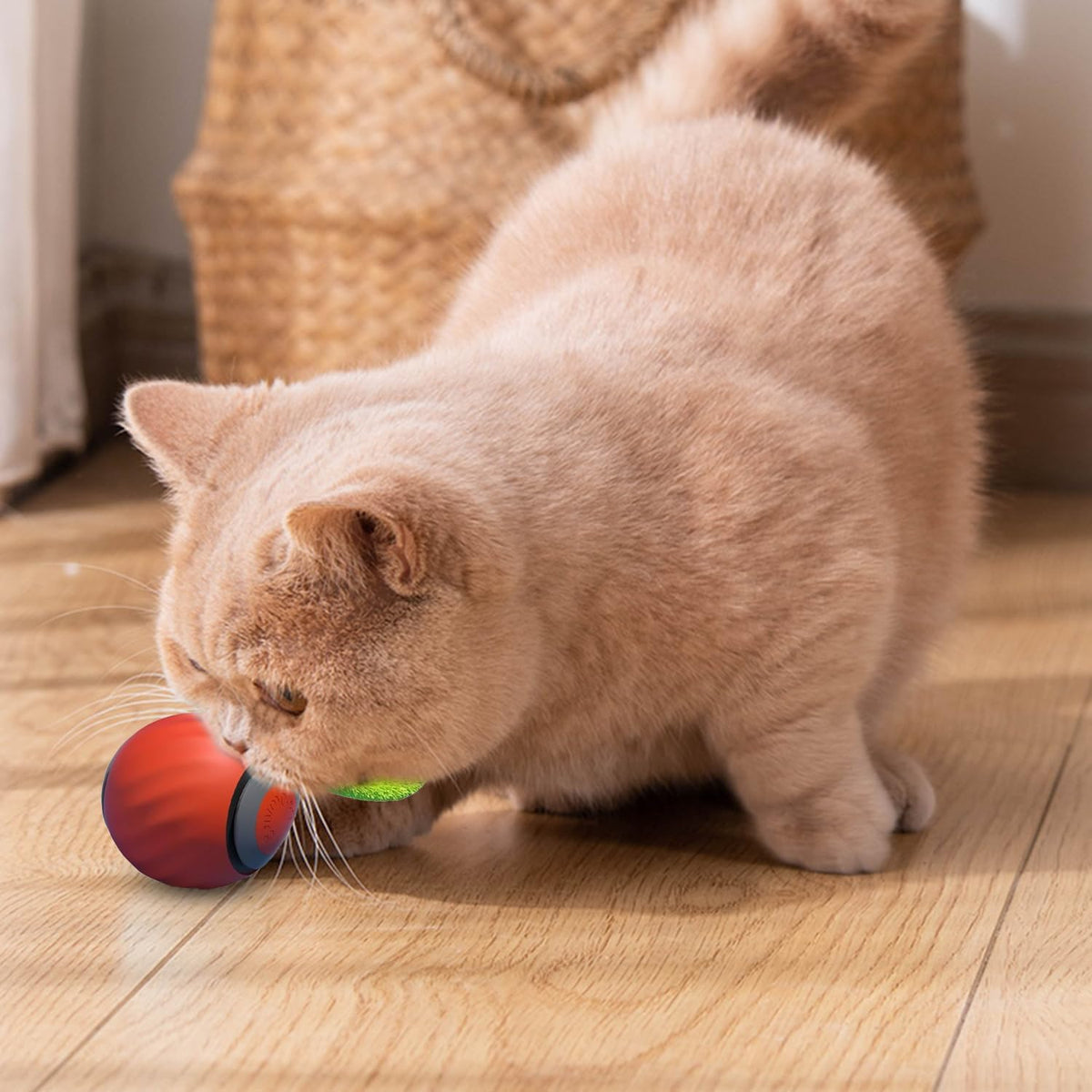 Gesmay Speedy Tail Rechargeable Cat Toy