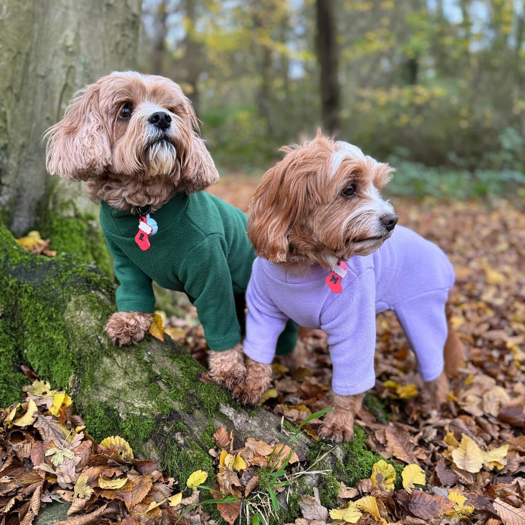Four-Legged Fleece Dog Suit