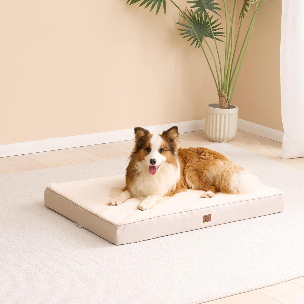 EHEYCIGA Foam Dog Mattress with Removable Cover