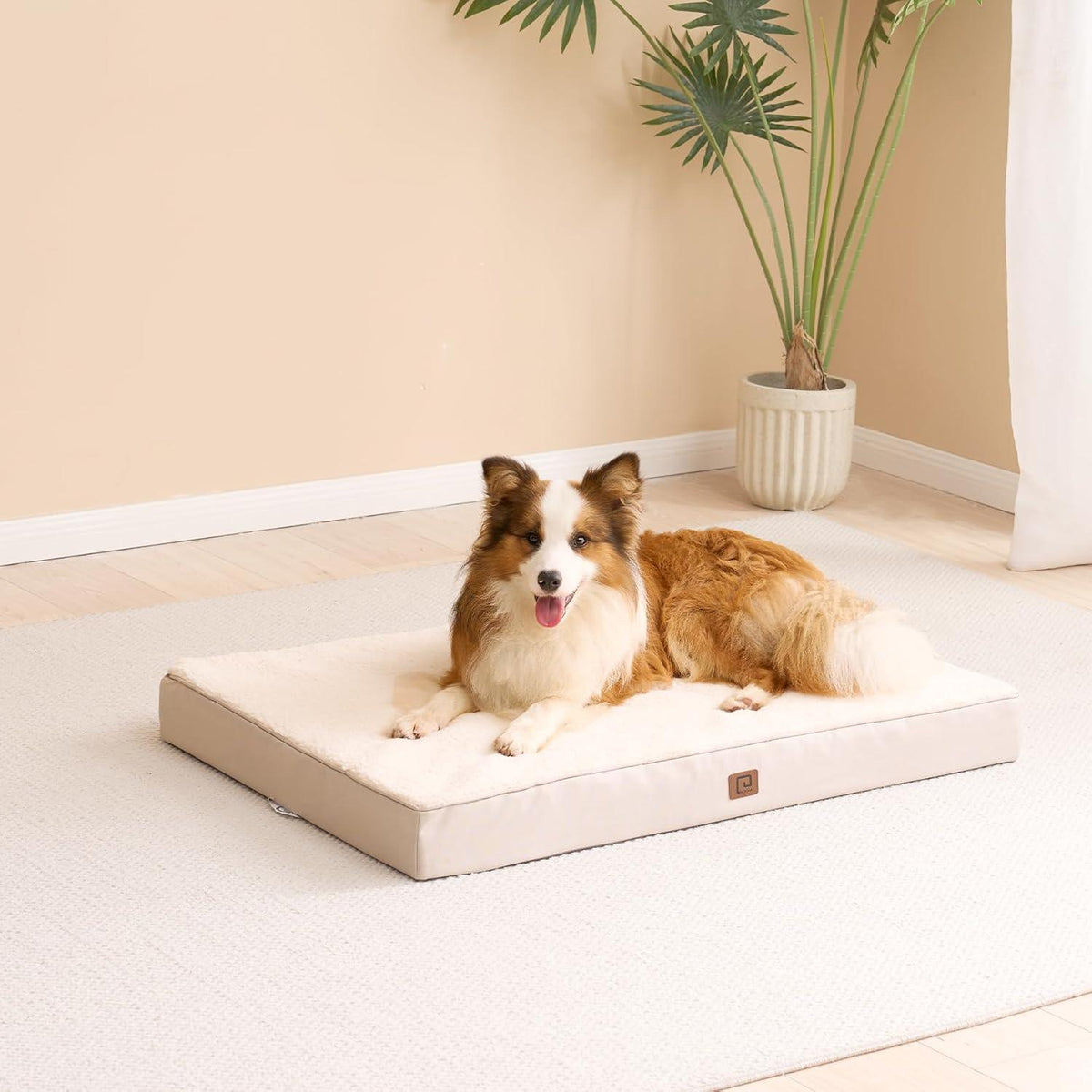 EHEYCIGA Foam Dog Mattress with Removable Cover