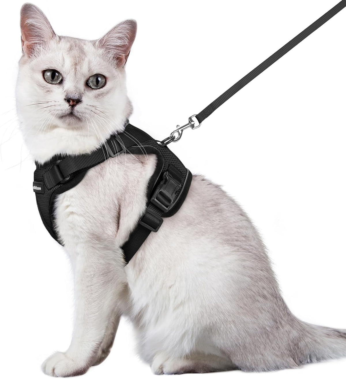 rabbitgoo Adjustable Cat Harness and Lead Set