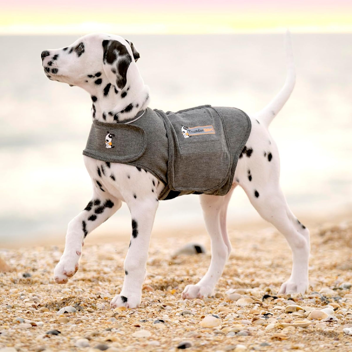 ThunderShirt Pressure Wrap for Dogs
