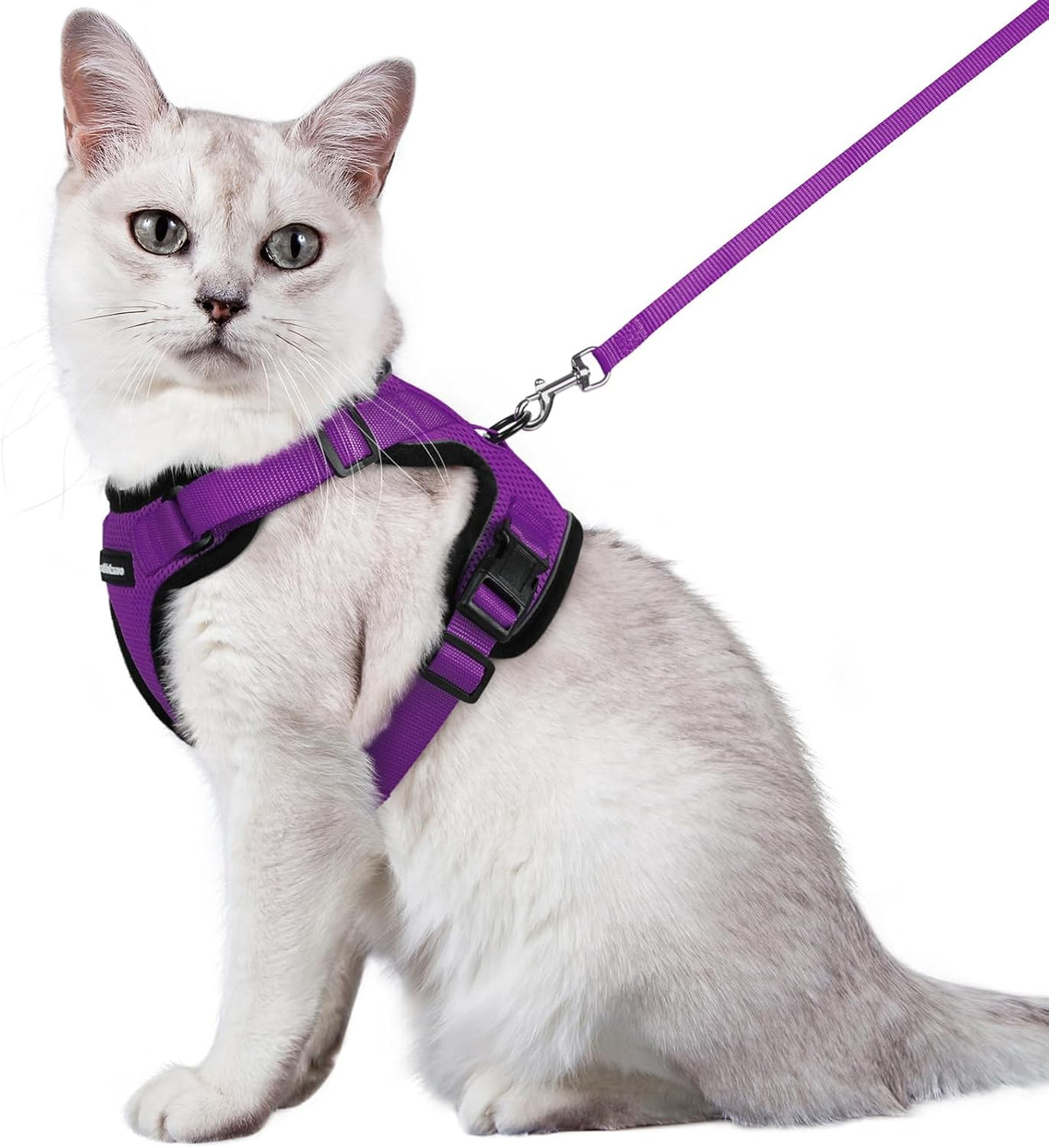 rabbitgoo Adjustable Cat Harness and Lead Set