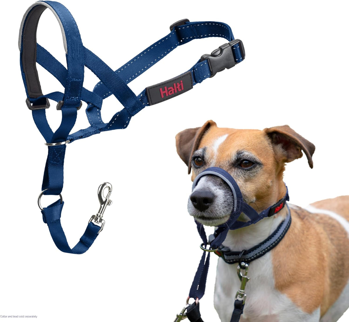 HALTI Adjustable Dog Headcollar
