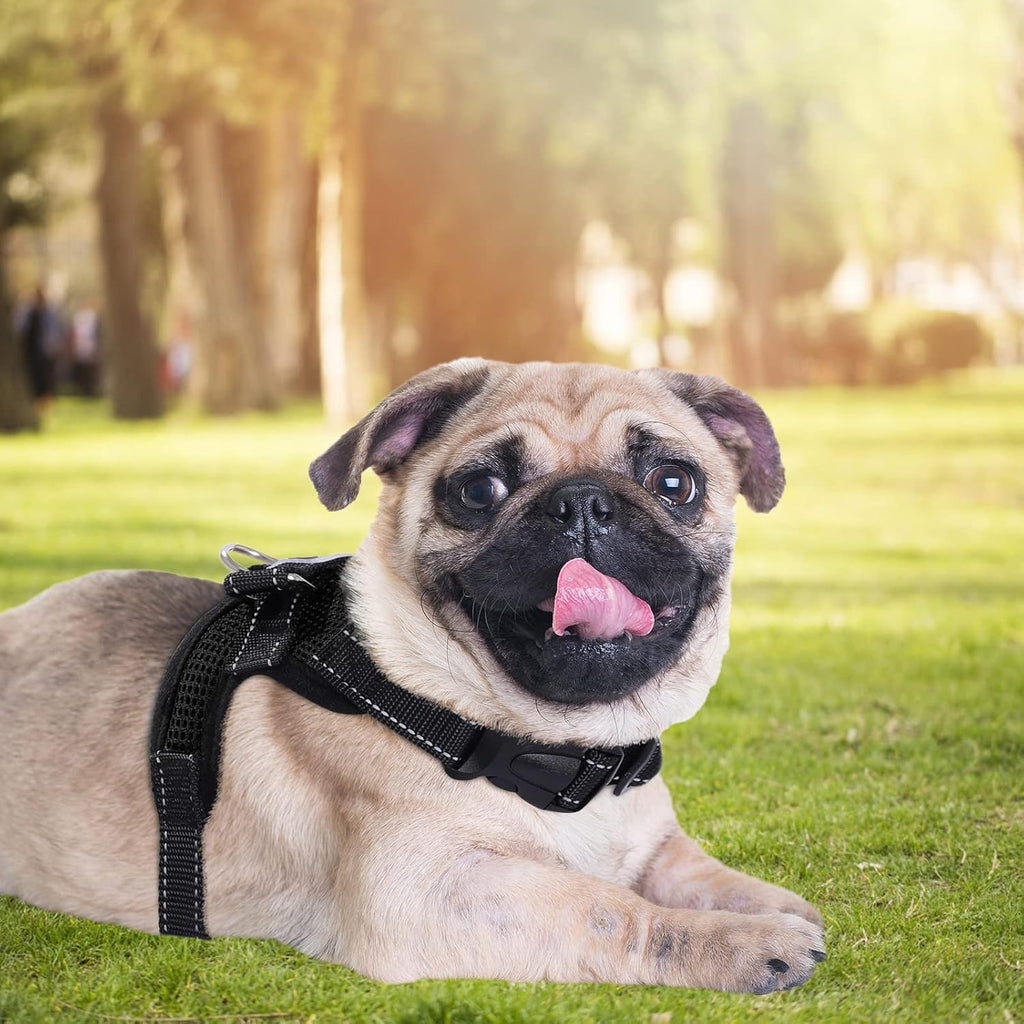 FUNKEEN PET HOUSE Mesh Dog Harness