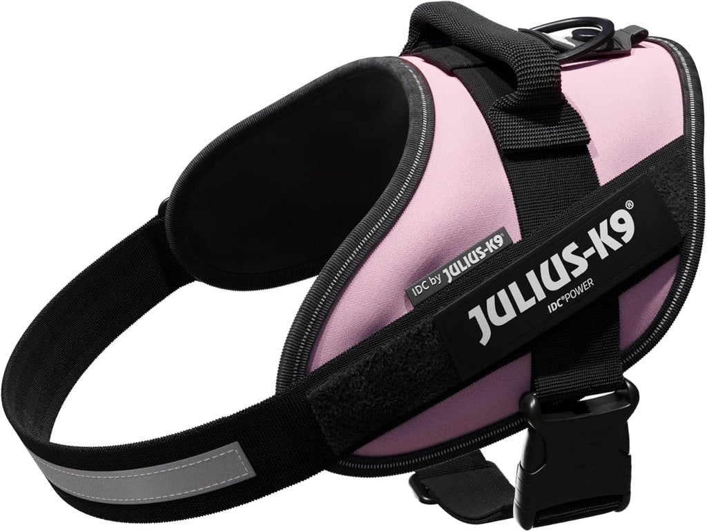 Julius-K9 IDC Powerharness for Small Dogs