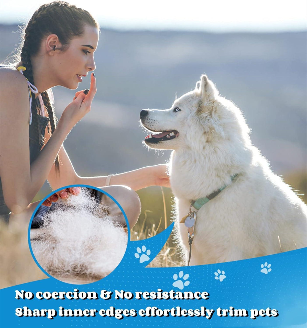 morpilot Pet Grooming Rake