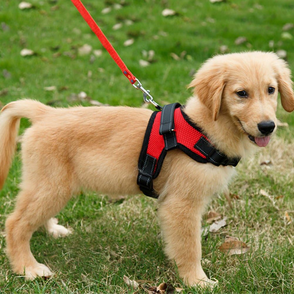 FUNKEEN PET HOUSE Mesh Dog Harness