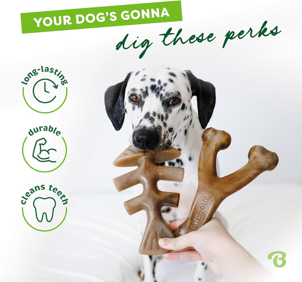 Benebone Dog Chew Toy Multipacks