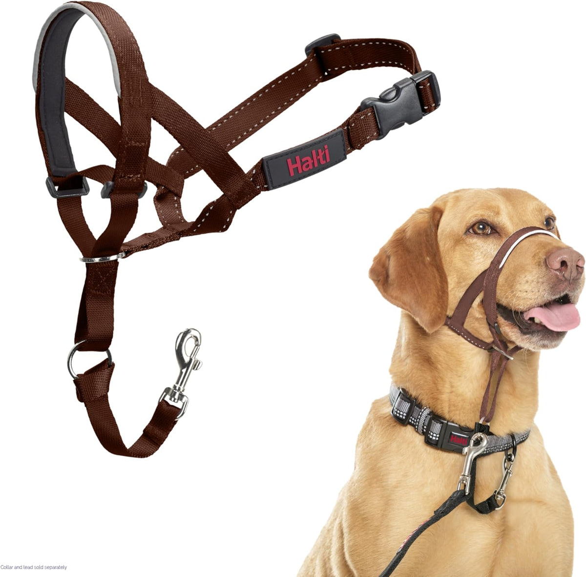 HALTI Adjustable Dog Headcollar