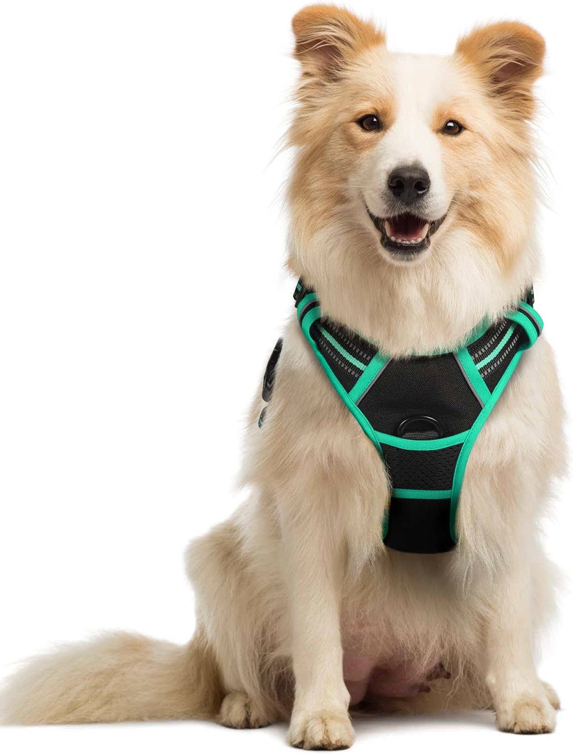 rabbitgoo Padded Dog Harness with Two Lead Clips
