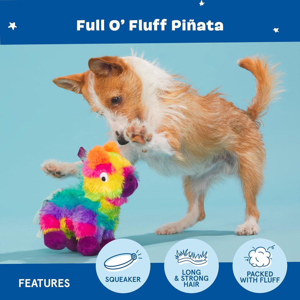 BarkBox Squeaky Plush Dog Toys