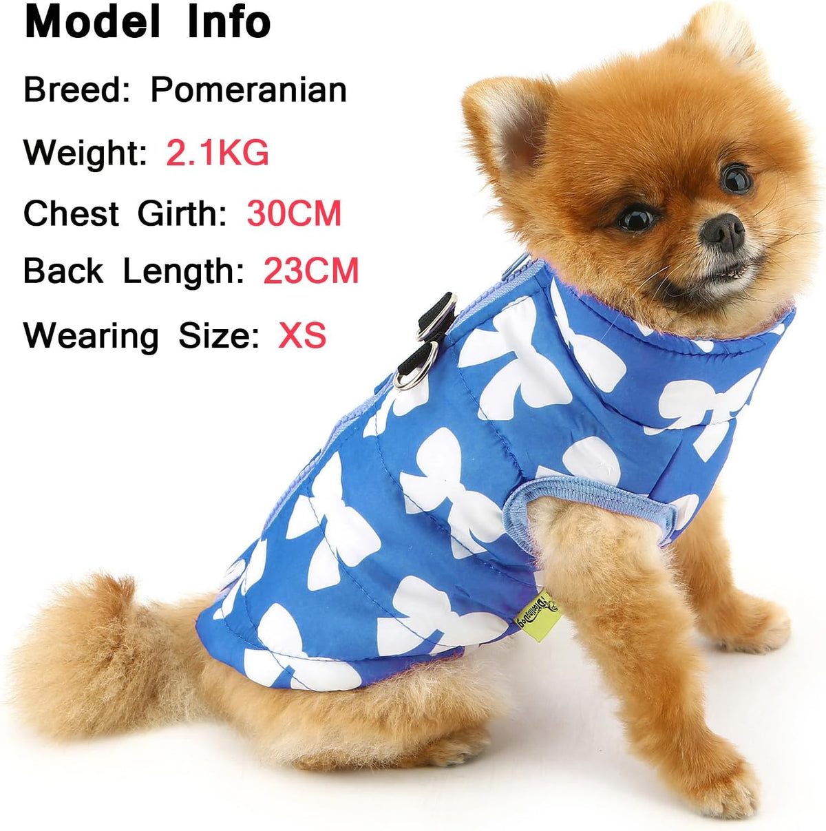SMALLLEE_LUCKY_STORE Quilted Coat for Small Pets