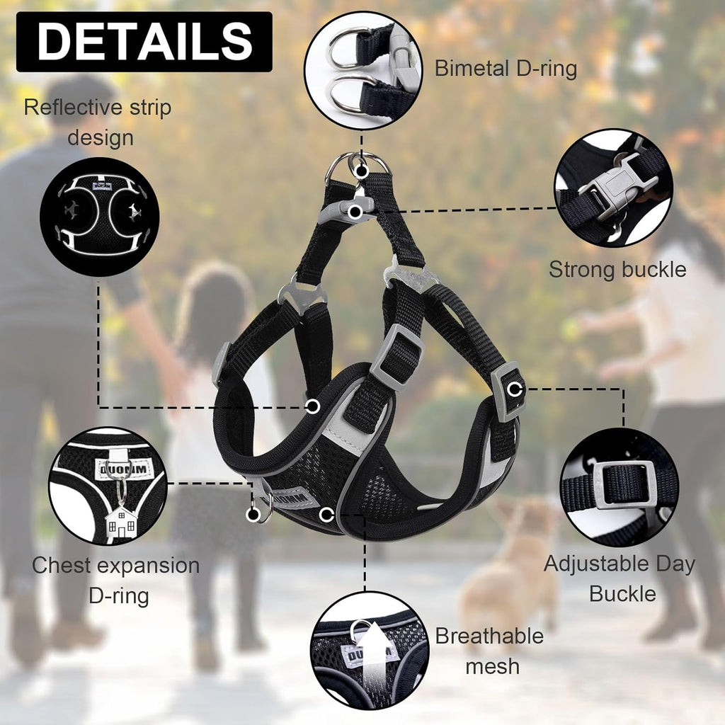 RAFIYU Mesh Dog Harness, Collar and Lead Set