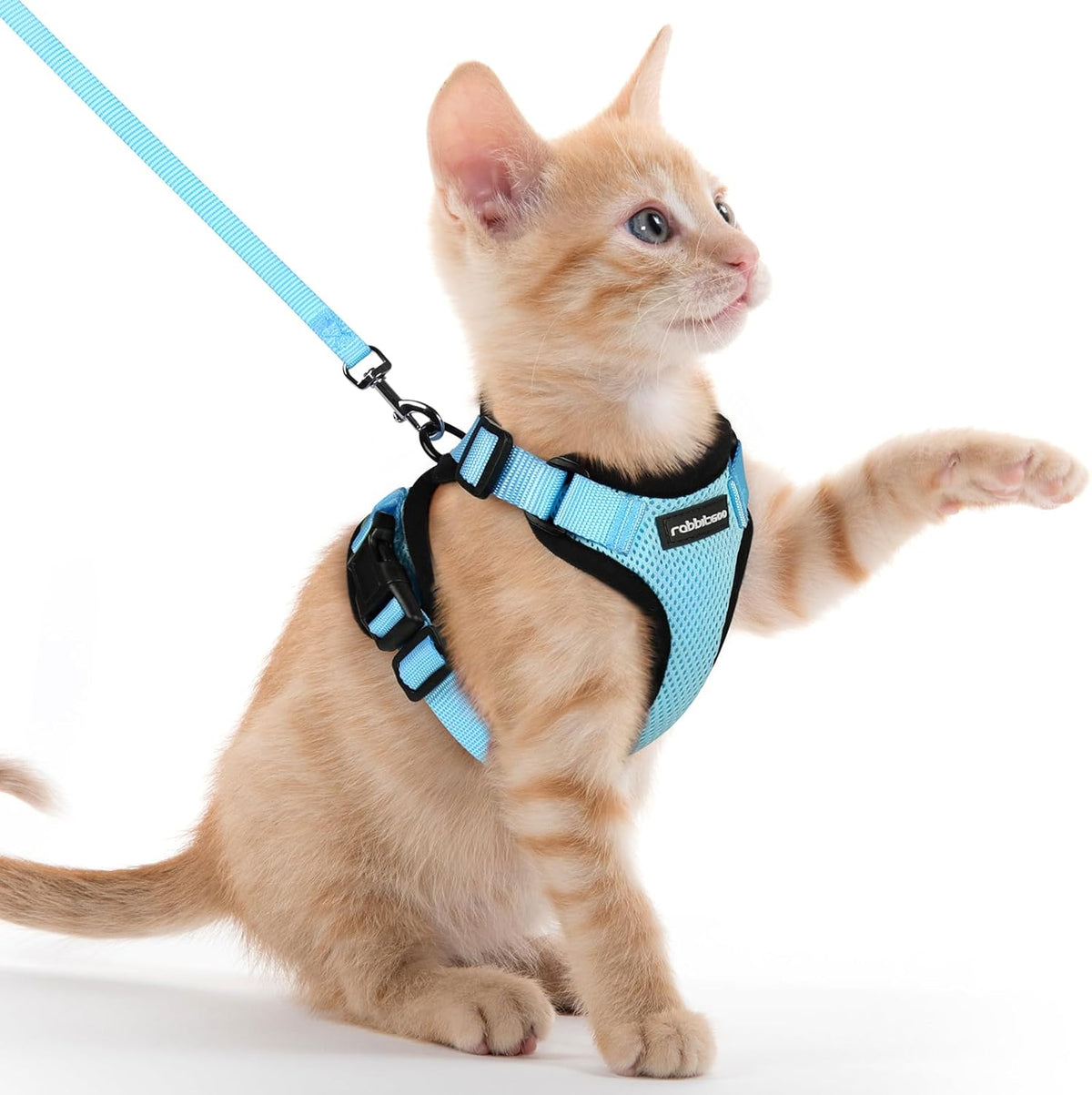 rabbitgoo Adjustable Cat Harness and Lead Set