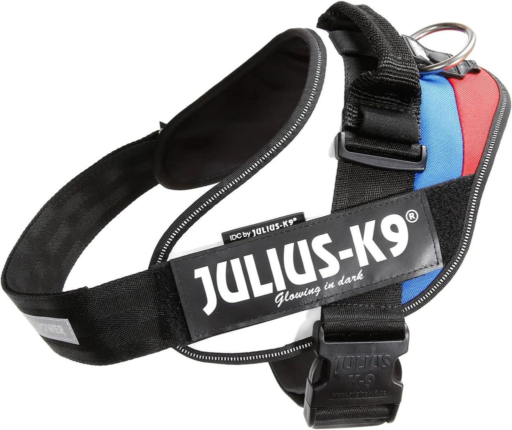 Julius-K9 IDC Powerharness for Small Dogs